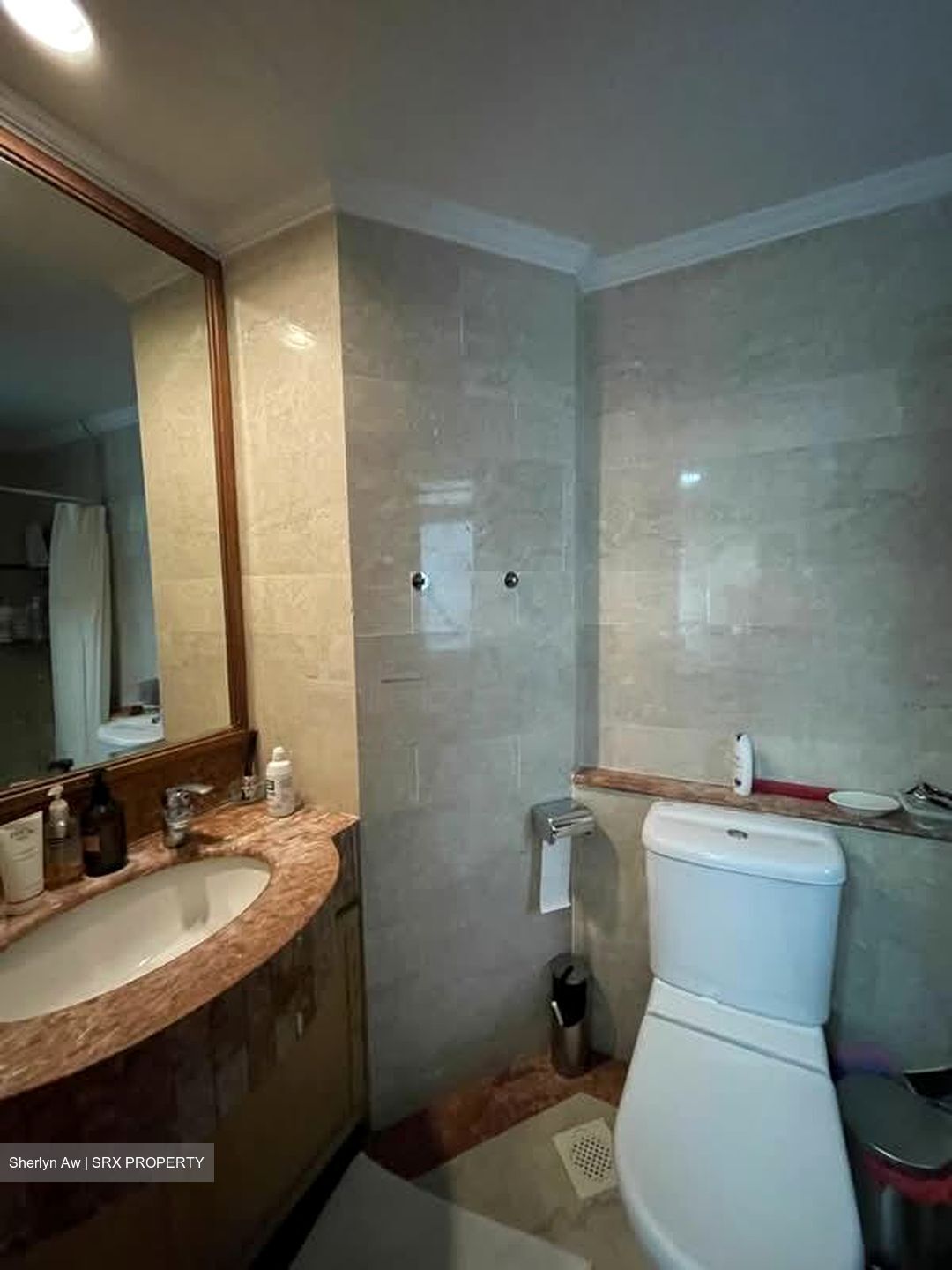 Emerald Garden (D1), Condominium #585402531